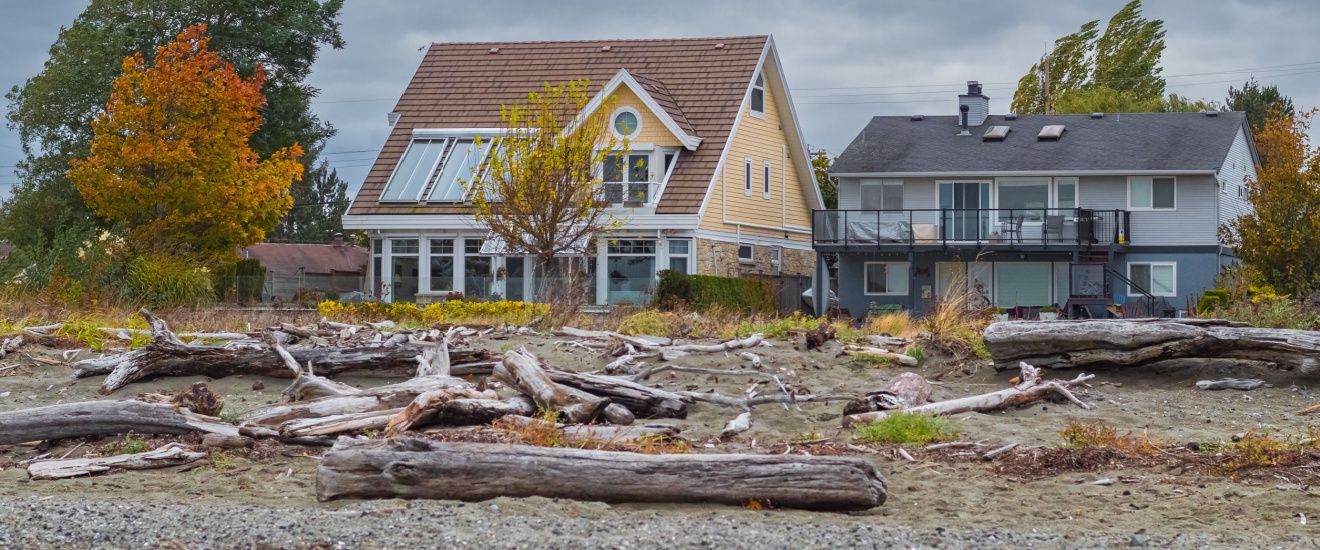 Do I Really Need Pest Control in Oak Harbor, WA—Or Can I Handle It Myself?
